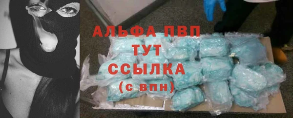 твердый Шали