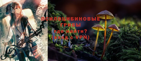 твердый Шали