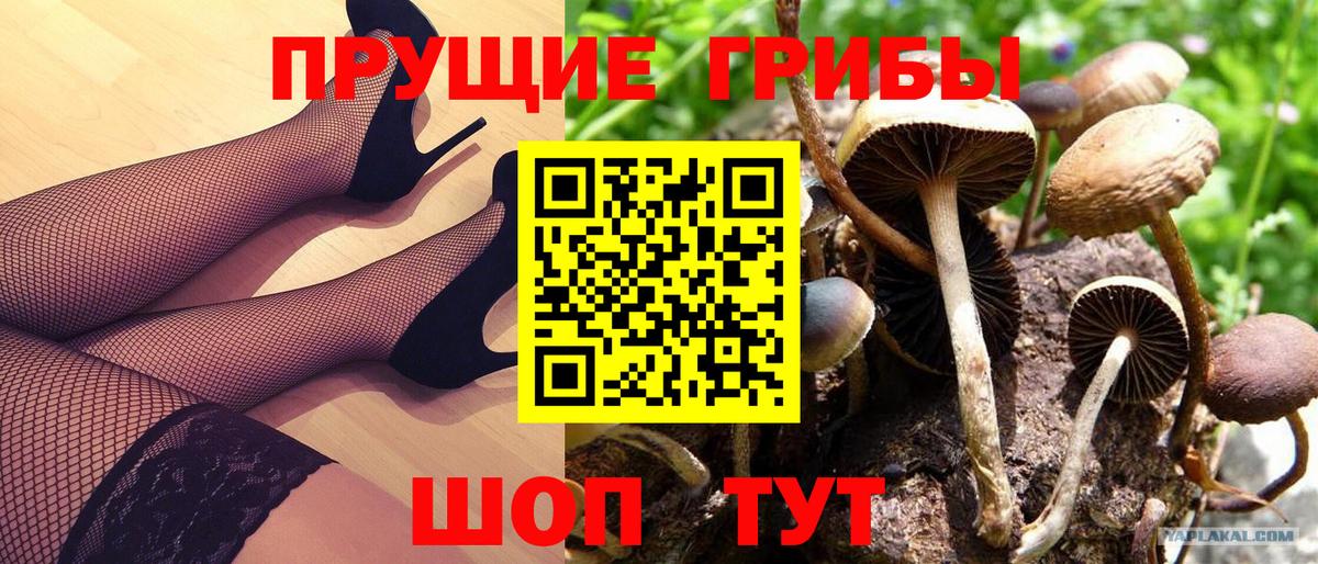 Галлюциногенные грибы Magic Shrooms  Вход с VPN  Кемерово 