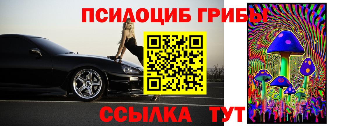 Галлюциногенные грибы Cubensis Кемерово